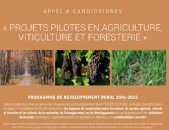 Appel à candidatures "Projets pilotes en agriculture, viticulture et foresterie