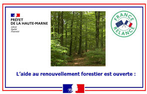 L’aide au renouvellement forestier est ouverte :
