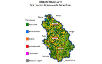 Rapport d'activité DDT 2019